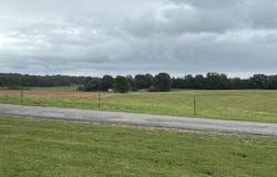 1120 Pleasant Ridge Road, Finger, TN 38334