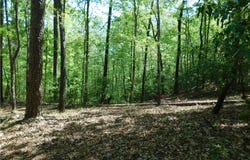 250 Cliffs Falls Parkway, Salem, SC 29676
