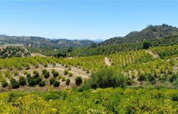 5 De Anza Road, Temecula, CA 92590