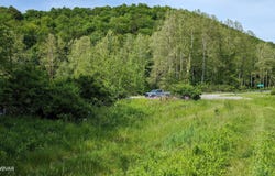 00 ROUTE 220 HIGHWAY, Hughesville, PA 17737