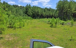 0 0 Us 49 Highway, Mendenhall, MS 39114