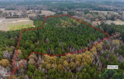 Tbd FM 782, Henderson, TX 75652