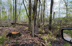 3705 ALEXANDER ROAD, RANDOLPH, OH 44201