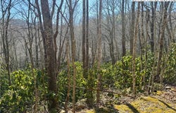 Gumtree Road, Beech Mountain, NC 28604