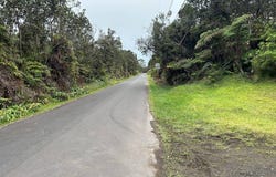 11-3845-A NAHELENANI ST, Volcano, HI 96785