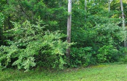 45493 DEER CROSSING LANE, CALIFORNIA, MD 20619