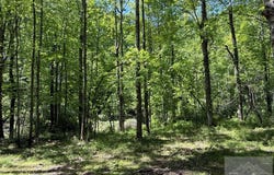 Browning Lambert Mountain, ROCK, WV 24747