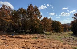 90 Summer Sky Drive, Greenbrier, AR 72058