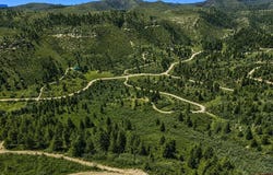 Road 46, Mancos, CO 81328