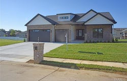 8748 Wendell Creek Drive, St Jacob, IL 62281