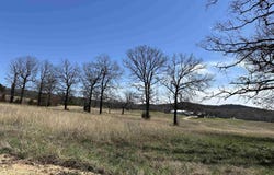 Lot 4 Deer Meadows Lane, Yellville, AR 72687