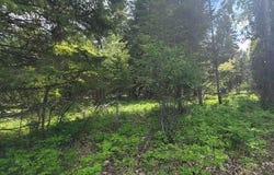 Tbd, Lot 1 Parmenter Road, Libby, MT 59923
