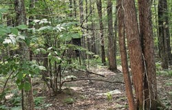 West River Drive lot: # 12, Gladwin, MI 48624-9999