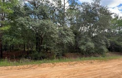 00 KENNEDY AVENUE, INTERLACHEN, FL 32148