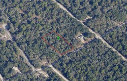 12769 W Acacia Drive, Crystal River, FL 34428