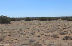 5999 Mesa View Lot 149 Drive, Heber, AZ 85928