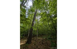Parcel "B" W Smith Lake, Manistique, MI 49854