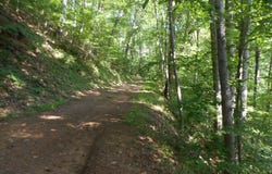 Rabbit Lane lot: 22&23, Franklin, NC 28734