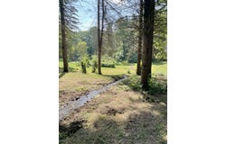 5140 37 Mile Road - Bruce Township, Romeo, MI 48065
