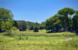 2XX XYZ Ranch Road, Silver City, NM 88061