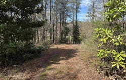 Lot 0 Dearmanville Road, Anniston, AL 36207
