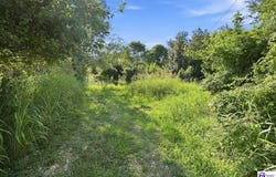 380 Ater Heights Road, Irvington, KY 40146