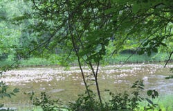 6 Intervale Ave. Avenue, Au Sable Forks, NY 12912