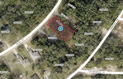 PALM STREET, LADY LAKE, FL 32159