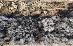 Parcel B Parameter Road, Deer River, MN 56636