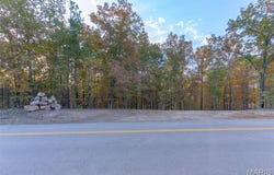 000 HWY JJ (Tract 1), Marquand, MO 63655
