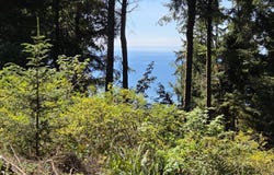 94112 BELLVIEW LN, Gold Beach, OR 97444