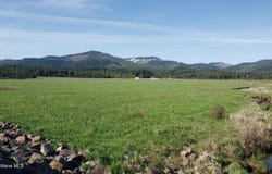 Parcel 9 Green Valley RD, Fernwood, ID 83830