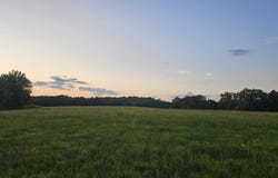 014 Tomahawk Slab Road, Saint Joe, AR 72675
