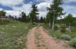 466 Navajo Rd, Red Feather Lakes, CO 80545