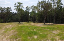 0 Steed Creek Rd, Huger, SC 29450