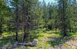 443 McGregor Meadows Road W, Marion, MT 59925