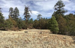 Lot 682 Che Loop, Ramah, NM 87321