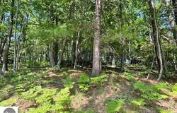 17 Loggers Run Subdivision, Glen Arbor, MI 49636