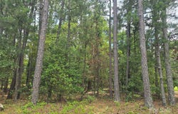 Johnny Williams Road unit: 5, Kershaw, SC 29067