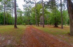 3751 NE Persimmon Dr., Pinetta, FL 32350