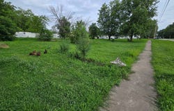 1021 S 5th Street, Monmouth, IL 61462