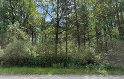 6461 Grace Drive, Hale, MI 48739