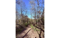 258 Bessie Ann Hill Road, Farmington, WV 26571