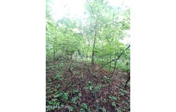 0 Huffaker Dr Off Drive, Strawberry Plains, TN 37871