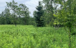 On BERT SCHMIDT CR, Glidden, WI 54527