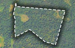Tract #9 Johnnie Rd, INDIAN MOUND, TN 37079