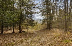 00 BENZIE HIGHWAY, BENZONIA, MI 49616