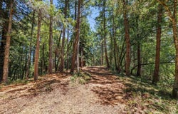 1401 Nicasio Valley Road, Nicasio, CA 94946