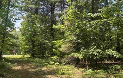 Cedar Hedge Tr, Interlochen, MI 49643