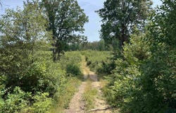 TBD Meredith Grade, Harrison, MI 48625
